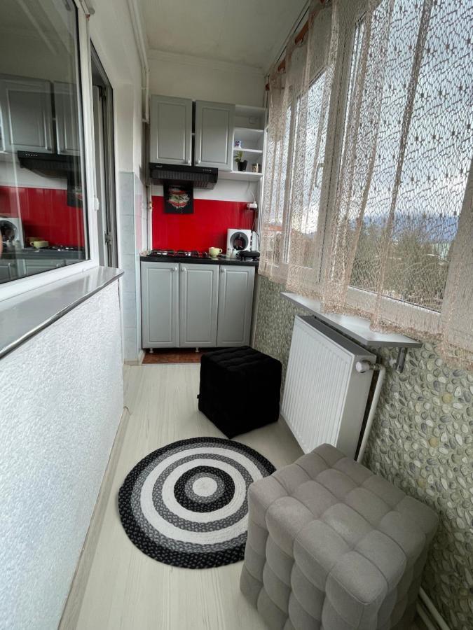 Central Colors Studio Petrosani Exterior photo